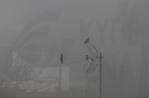 Πυκνή ομίχλη στην περιοχή Παλαιχωρίου, ορατότητα πολύ περιορισμένη