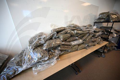 Υπό κράτηση δύο πρόσωπα για παράνομη μεταφορά 18 περίπου κιλών κάνναβης