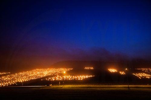 Αμπελώνες σε Σλοβενία και Ιταλία μετατράπηκαν σε διασυνοριακό Πάρκο Τέχνης