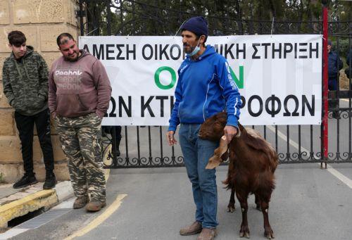 Cumhurbaşkanı, şap hastalığı için tazminat ödemelerinin hemen başlayacağını açıkladı