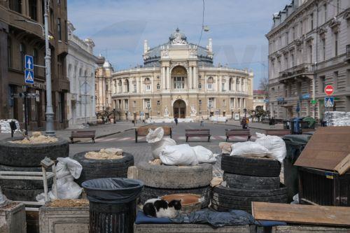 Πυρκαγιά στον μεγαλύτερο τερματικό σταθμό φυτικών ελαίων της Οδησσού από ρωσικά πλήγματα