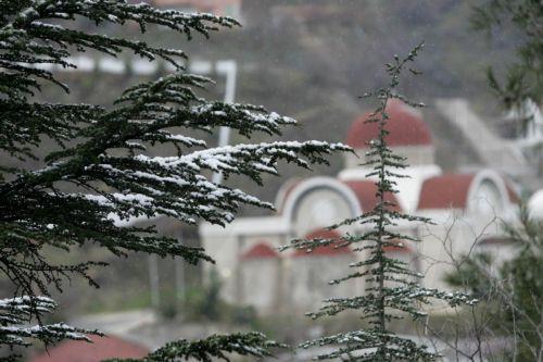 Revenue from tourism up by 35% in first two months of 2025