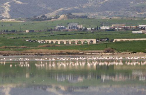 Τοποθέτηση ΠτΔ για περιβαλλοντική δράση ζητά το Περιβαλλοντικό Κίνημα Λάρνακας