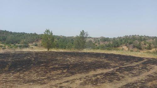 Υπό πλήρη έλεγχο δασική πυρκαγιά στην περιοχή Λίμνης της Πόλης Χρυσοχούς