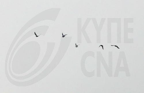 Πυκνή ομίχλη επικρατεί σε περιοχή της Πάφου