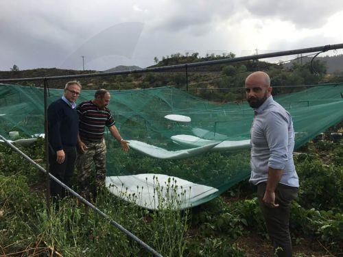 Για εργασιακά θέματα που αφορούν παραγωγούς ενημερώνει ο ΣΕΔΙΓΕΠ Λύσης