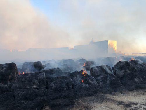 Υπό πλήρη έλεγχο δασική πυρκαγιά σε περιοχή της κοινότητας Μαλούντας αφού έκαψε έκταση δύο δεκαρίων με σιτηρά