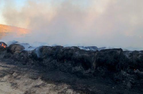 Υπό πλήρη έλεγχο τέθηκε δασική πυρκαγιά στην κοινότητα Κοτσιάτη