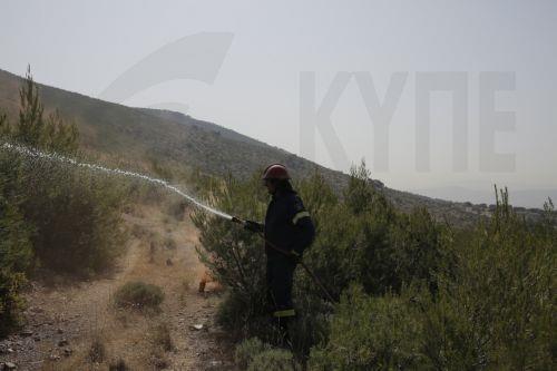 Σε 48ωρη απεργία κατέρχονται οι Δασοπυροσβέστες