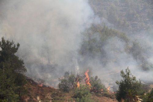 Υπό έλεγχο τέθηκε η πυρκαγιά που ξέσπασε λίγο πριν το μεσημέρι της Κυριακής στην επαρχία Πάφου