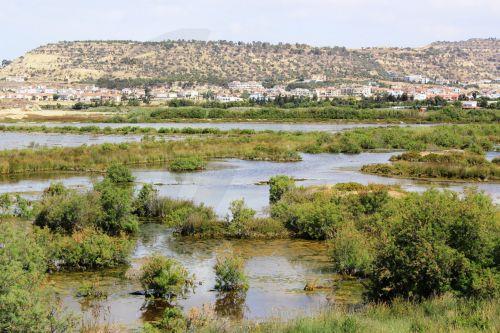Εκθέσεις EASAC για ενέργεια και φύση με οδικούς χάρτες δράσης