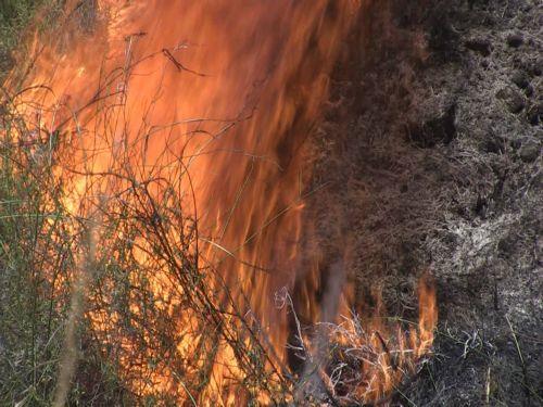 Ένα δεκάριο με ψηλά χόρτα και βλάστηση κατέκαυσε πυρκαγιά στην Κοινότητα Ψευδά
