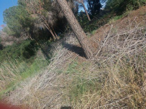 Πρότυπο πάρκο στη διαχείριση νερού, το πάρκο Παιδαγωγικής Ακαδημίας