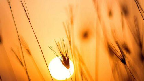 Διακοπή υπαίθριων εργασιών τις μεσημβρινές ώρες λόγω υψηλών θερμοκρασιών