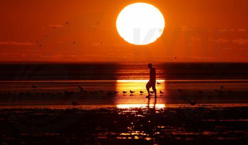 Μείωση ποσοτήτων μπακαλιάρου στη Βαλτική εξαιτίας μείωσης της αλατότητας