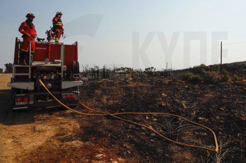 Ακόμα 369 πυροσβέστες και πάνω από 105 οχήματα κινητοποιεί η ΕΕ για τις δασικές πυρκαγιές