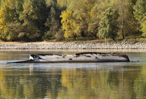 Τη σημασία των υγροτόπων στη Βουλγαρία ανέδειξαν ειδικοί που μίλησαν στο BTA