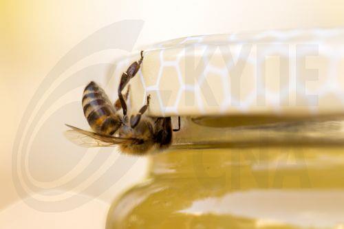 Προειδοποιούν οι γαλλικές αρχές για παρενέργειες εισαγόμενου «αφροδισιακού μελιού»