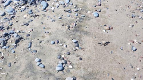 Εργασίες επιδιόρθωσης της αποβάθρας στην Αργάκα από ΑΛΚ