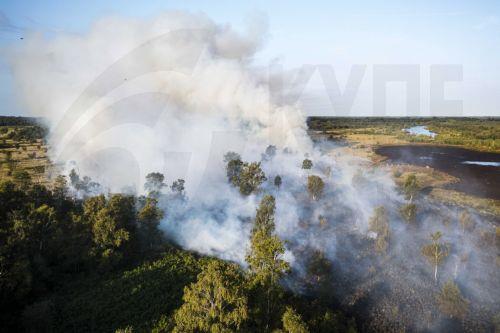 To Kέντρο Μεσογειακής Συνεργασίας του IUCN γιορτάζει τα 20χρονα του με σειρά εκδηλώσεων στη Μάλαγα