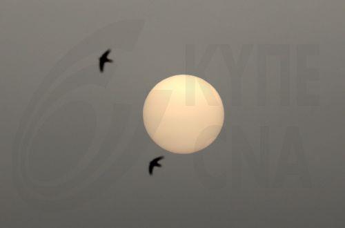 Προειδοποιεί για ψηλές συγκεντρώσεις σκόνης το Τμ. Επιθεώρησης Εργασίας