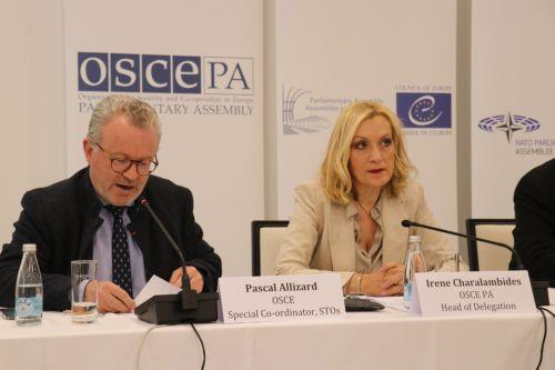 Cypriot MP re-elected Vice President of OSCE Parliamentary Assembly