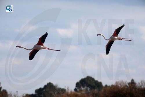 Εκκληση ΟΠΟΚ για προστασία του περιβάλλοντος και της ανθρώπινης ζωής