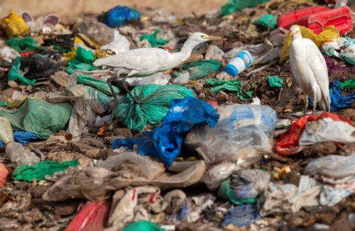 Increase in municipal waste in Cyprus in 2024, according to Eurostat