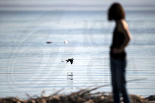 Επείγοντα μέτρα για παράκτιο τουρισμό εξαιτίας κλιματικής κρίσης αναφέρει έρευνα