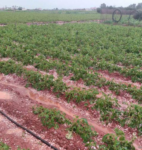 Agricultural area managed by women in Cyprus at 6.5% in 2023, according to Eurostat