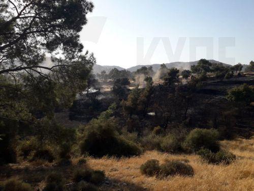 Δεκαεπτά κοινότητες και δήμοι αποκτούν μηχανήματα θρυμματισμού κλαδιών για πρόληψη πυρκαγιών