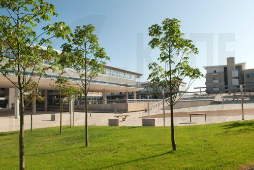 University of Cyprus ranks 473rd in QS World University Rankings