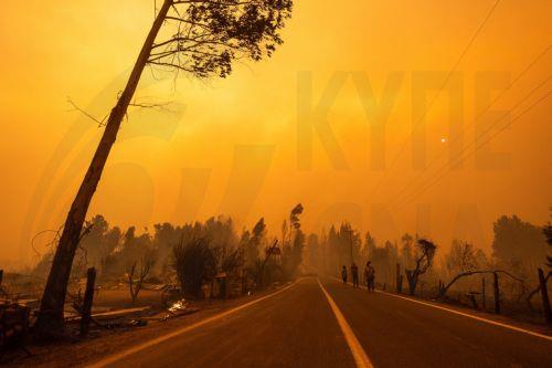 Υπερδιπλάσιες από τον μέσο όρο 20ετίας οι καμένες εκτάσεις στην ΕΕ
