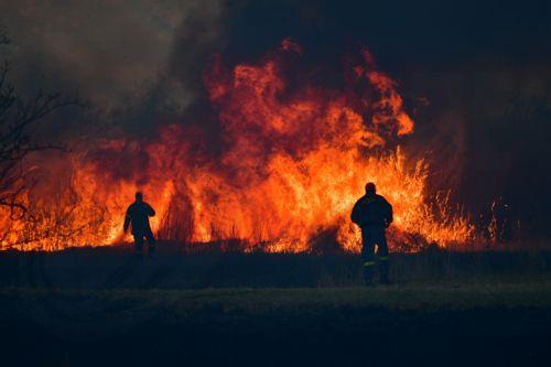Υπό πλήρη έλεγχο η δασική πυρκαγιά σε περιοχή της κοινότητας Κάθηκα