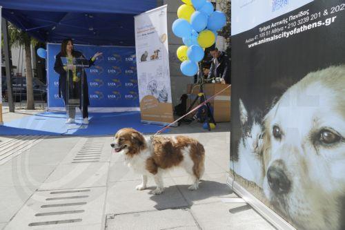 Τα περιστατικά εγκατάλειψης ζώων αυξάνονται λέει το Γραφείο Επ. Περιβάλλοντος