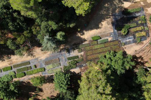 Γίνονται ήδη τα δέοντα σε σχέση με ευρήματα Ελεγκτικής, λέει το Υπουργείο Γεωργίας