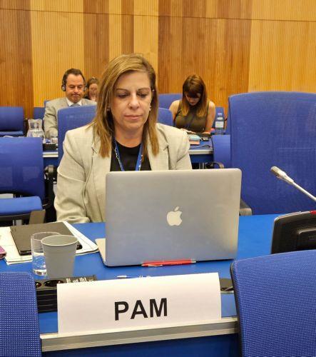 Προσαρμογή αντιτρομοκρατικών πολιτικών στις τεχνολογικές προκλήσεις λέει η Σούπερμαν