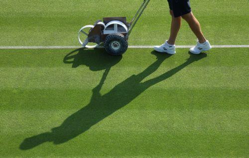 Bioeconomy generates up to €2.7 trillion in EU, could grow by 18% annually, CINEA says