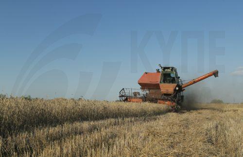 Κατά 20% θα μειωθούν οι εξαγωγές σιτηρών Ρωσίας το 2024-2025, λέει η Υπ. Γεωργίας της