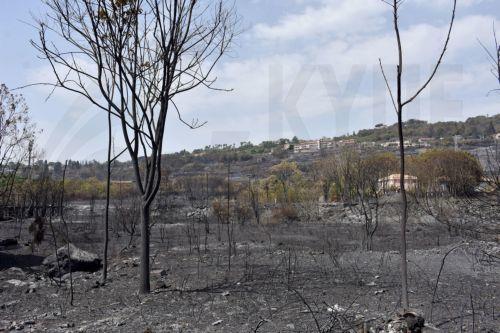 Το Ισραήλ ζήτησε βοήθεια από Κύπρο για αντιμετώπιση πυρκαγιών