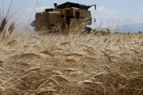 Σε ευρωπαϊκό συνέδριο για Κοινή Αγροτική Πολιτική ο ΚΟΑΠ