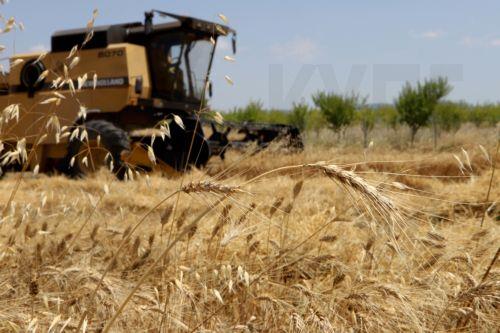 Agriculture Minister outlines major investments to tackle water shortages, support rural communities