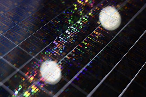 Kıbrıs, Mikroelektronik Ortak Standartları toplantısına ev sahipliği yaptı