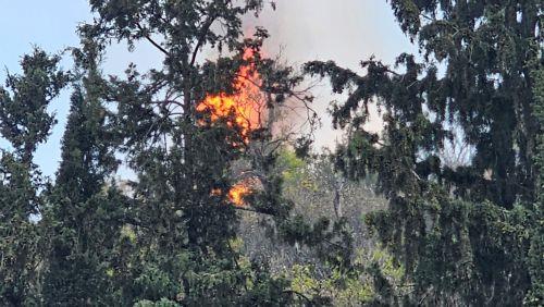 Υπό έλεγχο η φωτιά στην περιοχή Κοίλης – Τσάδας – Τάλας