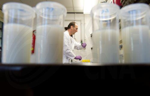 Ετήσια αύξηση 2,5% στις παραδόσεις αγελαδινού γάλακτος