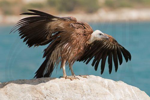 Το Υπουργικό Συμβούλιο ενέκρινε τον «Εθνικό Οδικό Χάρτη Ενάντια στα Δηλητήρια»