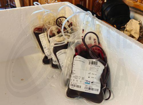 Εθελοντική αιμοδοσία από το προσωπικό του Τμήματος Δασών