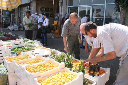 Yπ. Γεωργίας: To «ΦΑΙΝΟΤΥΠΟΣ» απόδειξη πως έρευνα-καινοτομία δίνουν απαντήσεις σε ανάγκες του πρωτογενούς τομέα