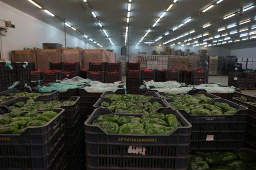 Απαγορευμένες ακόμα 6 πρακτικές για οπωροκηπευτικά προϊόντα σύμφωνα με το Τμ. Γεωργίας