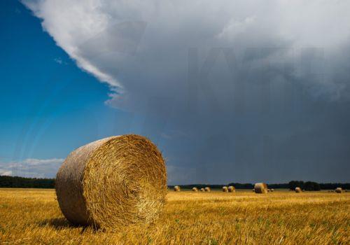 Επισιτιστική ανασφάλεια χωρίς άμεσα μέτρα για υδατικό λέει στο ΚΥΠΕ ο Π. Χάμπας